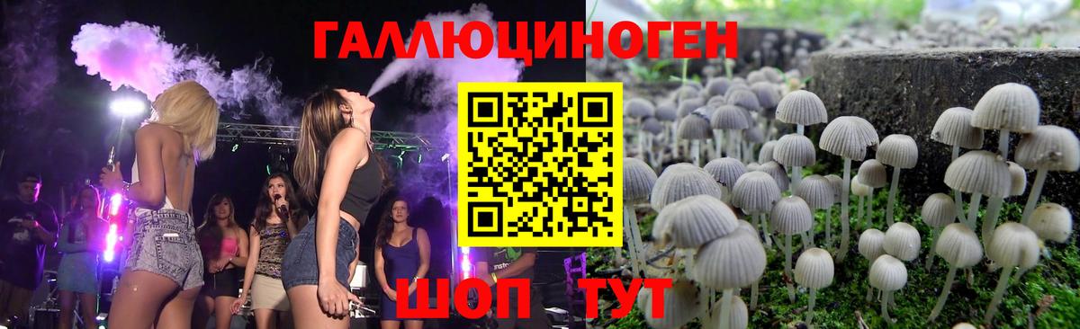 Кировск  Псилоцибиновые грибы мицелий  Вход с VPN 